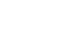 Logo 100_ blanco