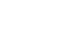 Logo PPG blanco